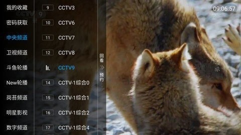 猩猩tv经典版