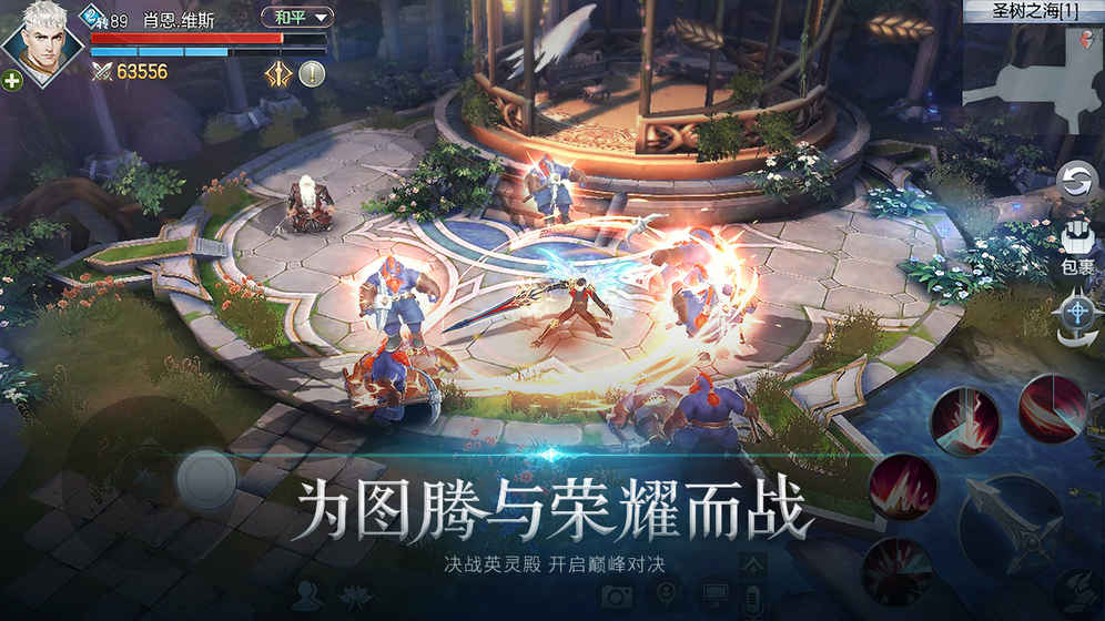 封龙战纪无限制版截图2