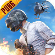 pubg国际服官方版