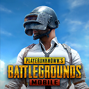 pubg国际服中文版