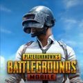 pubg国际服手游下载地铁逃生汉化版