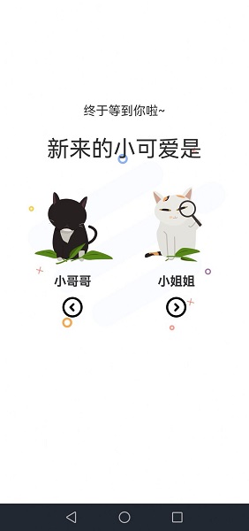 喵上动漫汉化版截图3