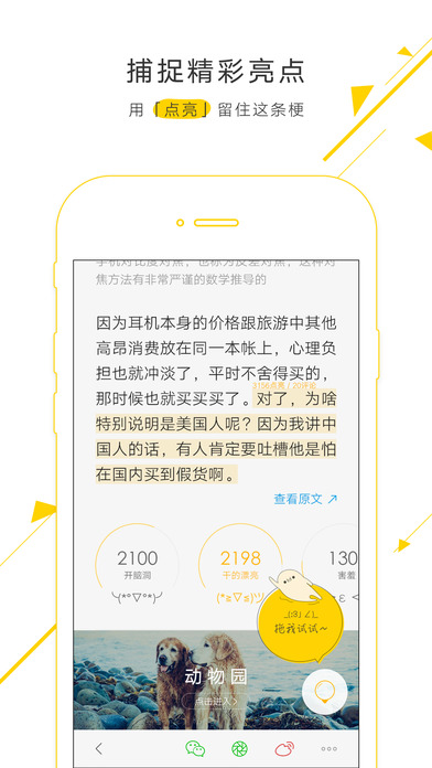 Light破解版截图3