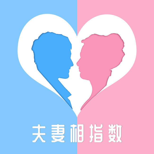 夫妻相指数汉化版