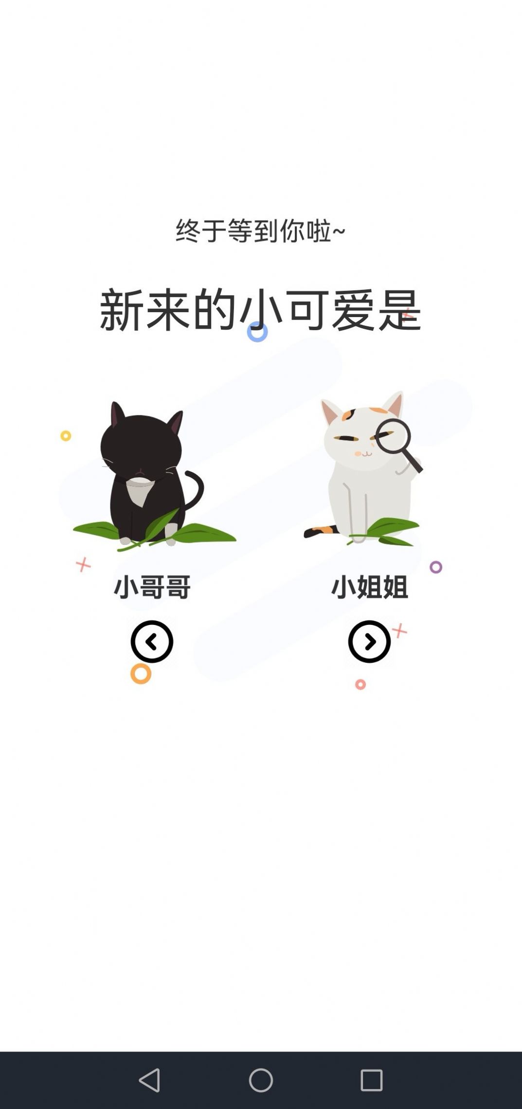 猫上漫画精简版截图2