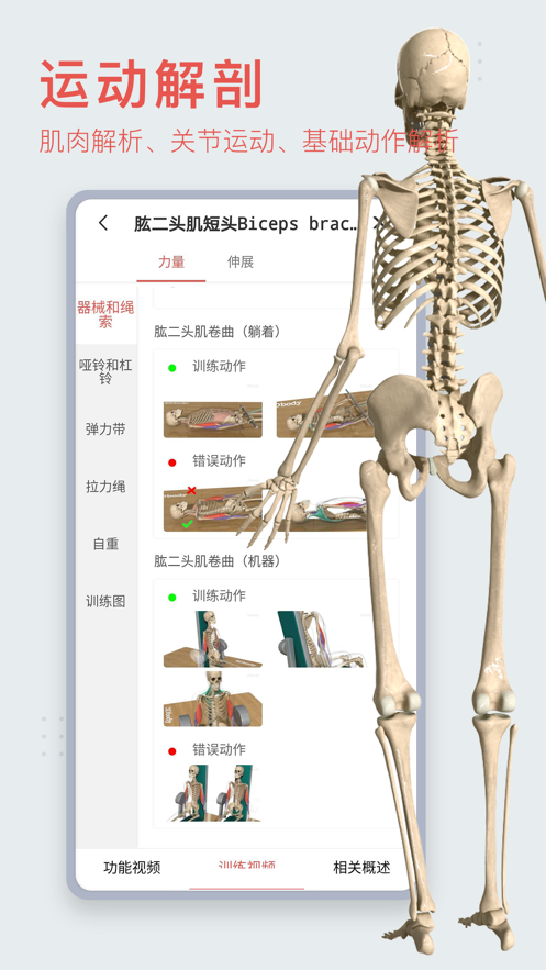 3dbody解剖图手机版