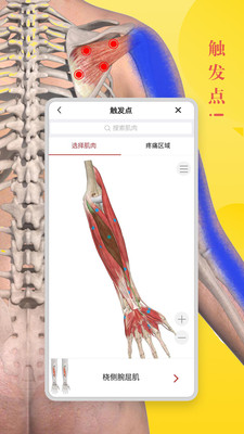 3dbody解剖学软件新版