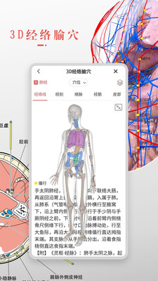 3dbody解剖学软件新版