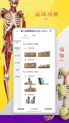 3dbody解剖学软件新版