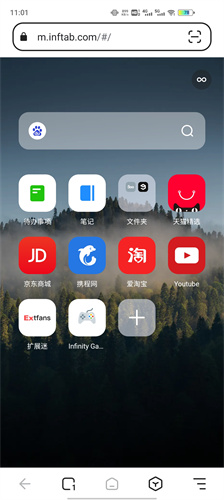 狐猴浏览器网页版截图4