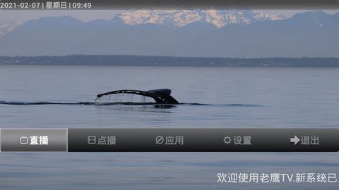 老鹰TV免授权码版截图2