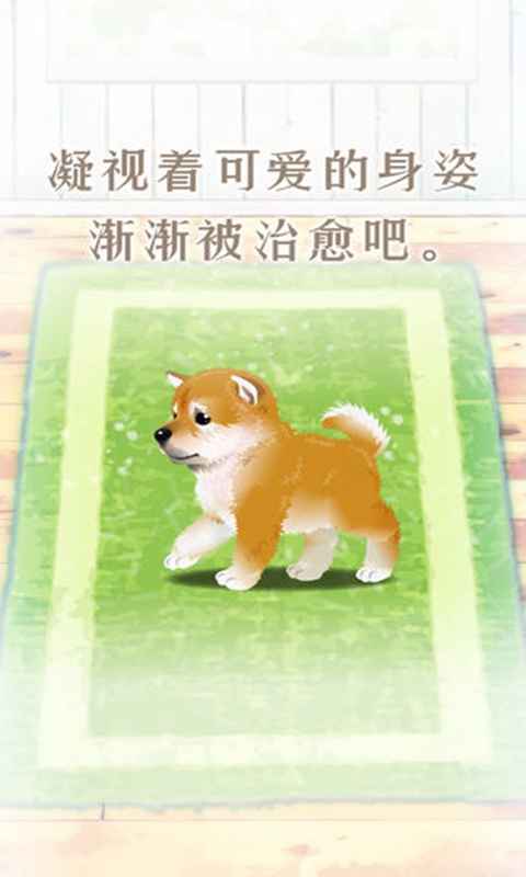 养育柴犬的治愈游戏截图5