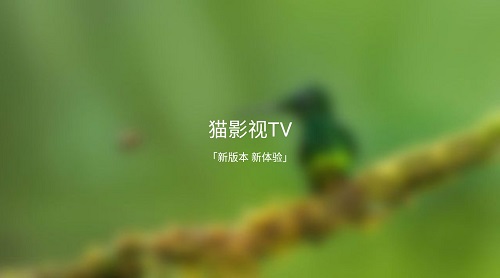 新版猫影视tv截图3