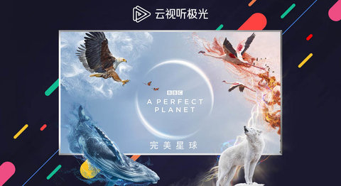 云视听极光tv版截图3