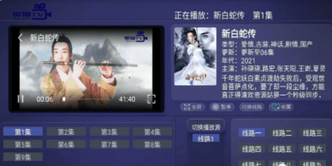 dkplayer安卓破解版截图3