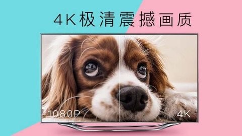 CIBN4k花园永久破解版