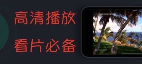 随风影视APP截图2