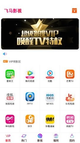 飞马影视tv版截图2