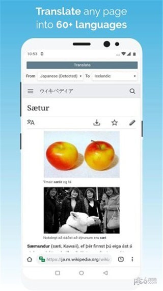 kiwi browser安卓版截图4