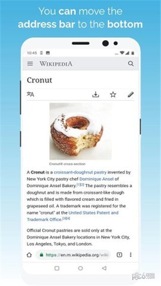 kiwi browser安卓版截图2