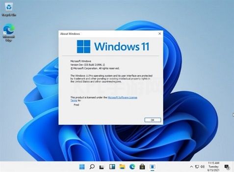 win11重置失败解决方法