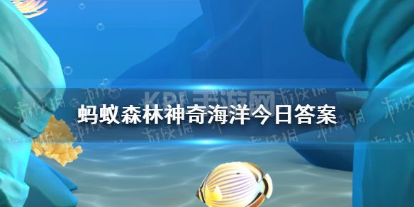 神奇海洋红树林常见的伴生植物 神奇海洋2022年11月26日答案最新