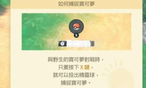 宝可梦朱紫怎么扔球 直接扔球方法介绍[多图]图片2