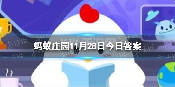 哪种材质的秋裤不容易引发皮肤过敏 蚂蚁庄园今日答案11月28日