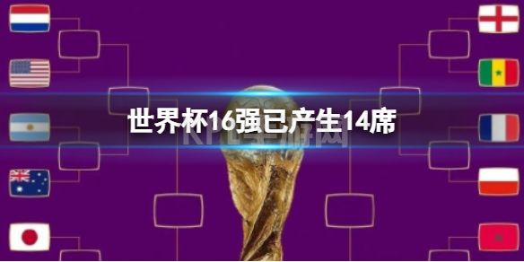 世界杯16强已产生14席 日本晋级16强