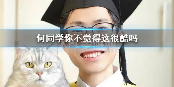 何同学你不觉得这很酷吗 不觉得这很酷吗出处