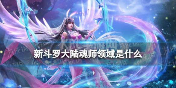 《新斗罗大陆》魂师领域是什么 魂师领域开启方法