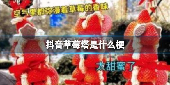 抖音草莓塔是什么梗 草莓塔怨种塔是什么梗