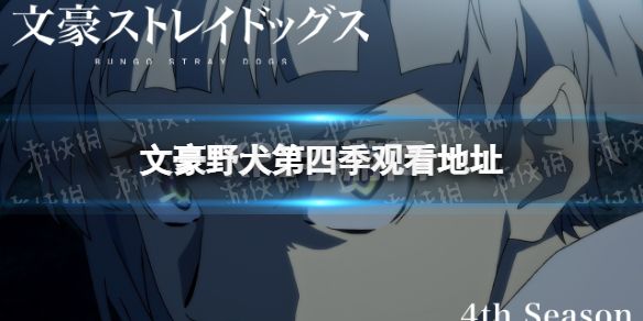 文豪野犬第四季在线观看地址 文豪野犬第四季在哪看