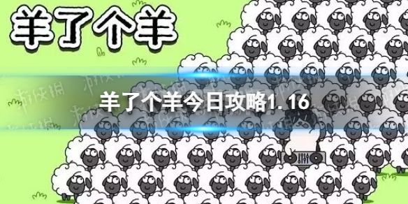 《羊了个羊》今日攻略1.16 1月16日通关攻略