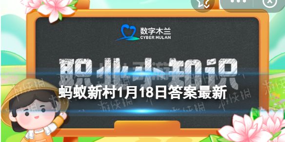 春节期间想旅行过年蚂蚁新村 不知道如何规划可以找谁咨询1.18答案